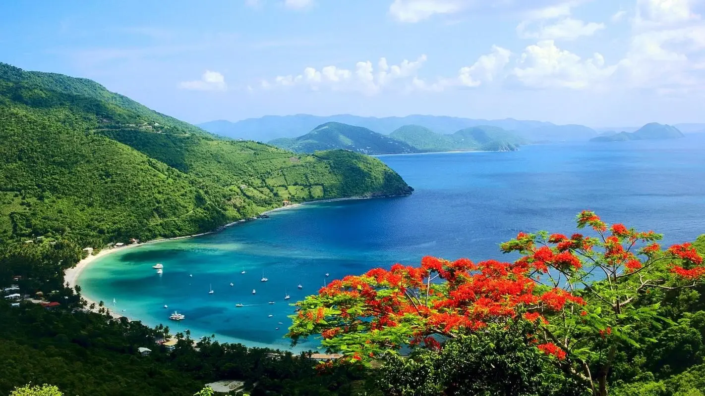 高效先进自动化