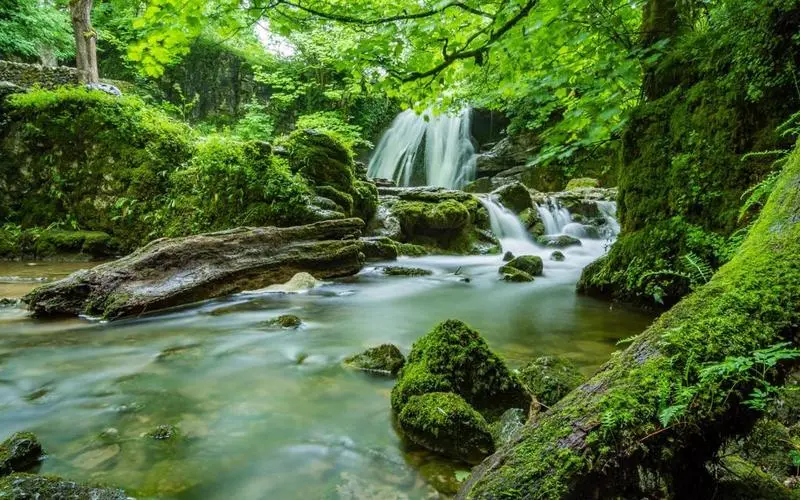 高效智能系统高标准